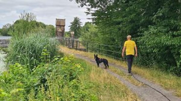DRINGEND zuhause für Lana gesucht