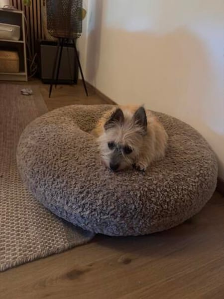 Mayla - süße Mini Maus -  liebevoll
