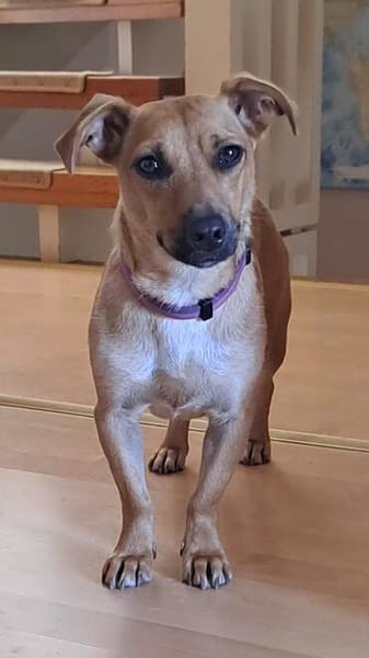 Kleine Dally sucht ihr Glück!❤