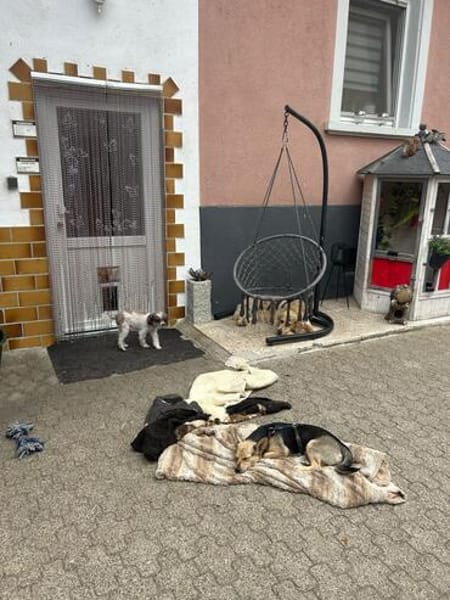 Fienchen sucht ihre Herzensmenschen ❤