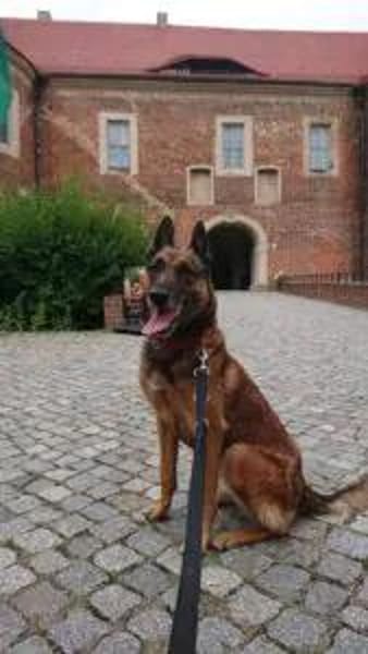 KIRA, Seniorin mit Dienstmarke