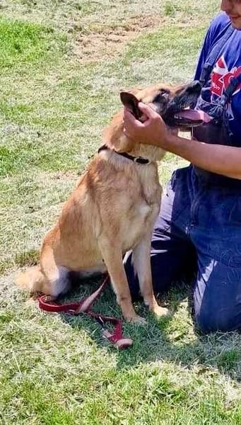 🆘🆘 RUBY in 91616 Neusitz sucht 🆘🆘‼