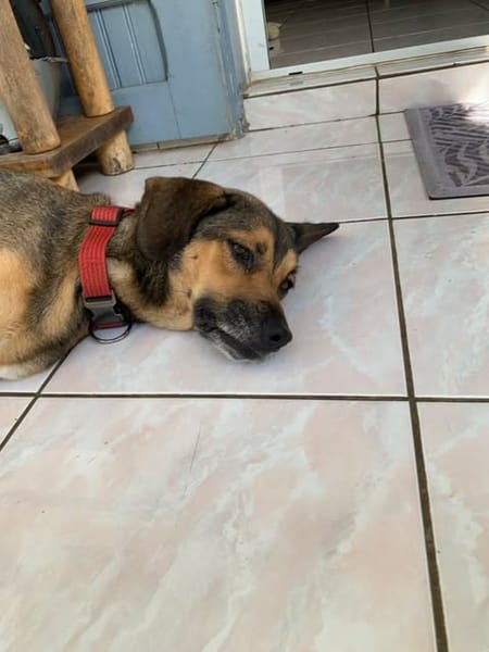 Ella