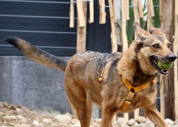 Einfach brav!!!  Unsere LOKI