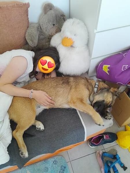 Dia ist lieb und lebensfroh