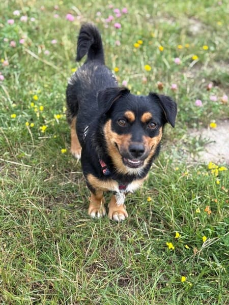 Minnie