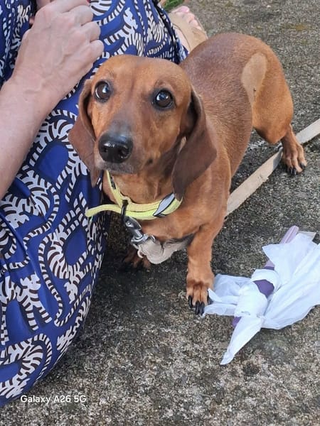 winnie la belle vie