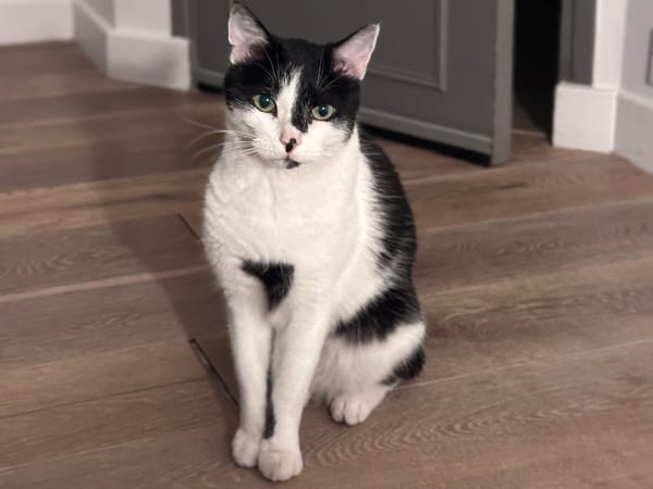 Félix
