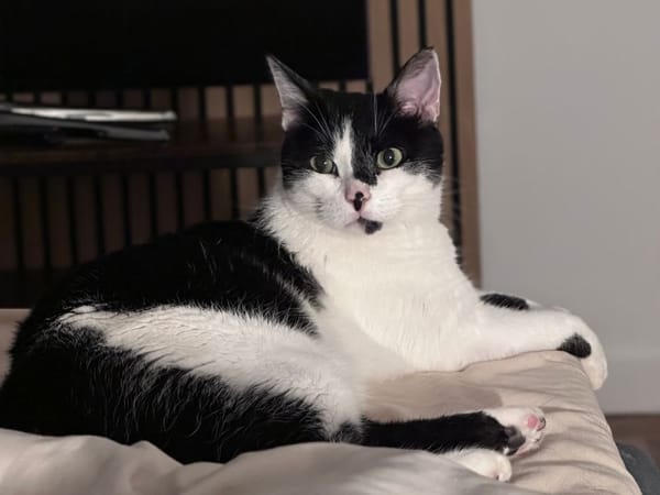Félix