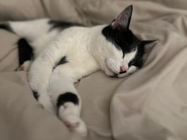 Félix
