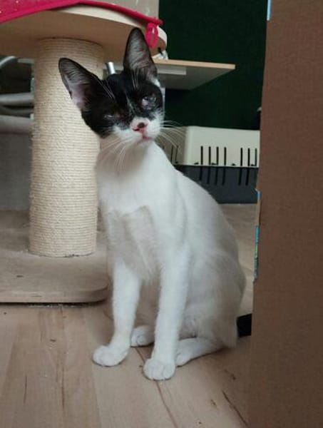 Liebevolles Handicat Geschwisterpaar