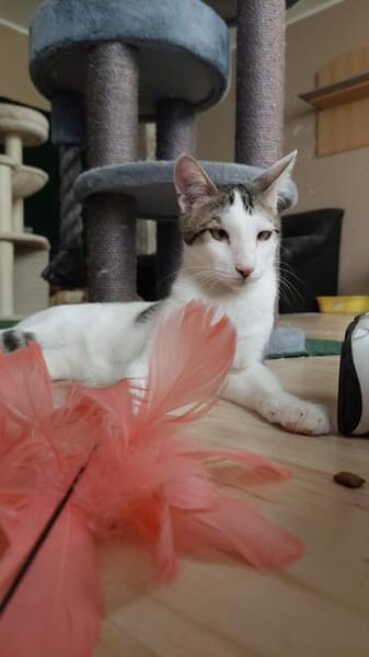 Liebevolles Handicat Geschwisterpaar