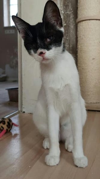 Liebevolles Handicat Geschwisterpaar