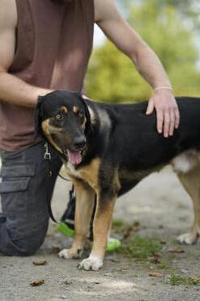 Miro sucht seine Familie