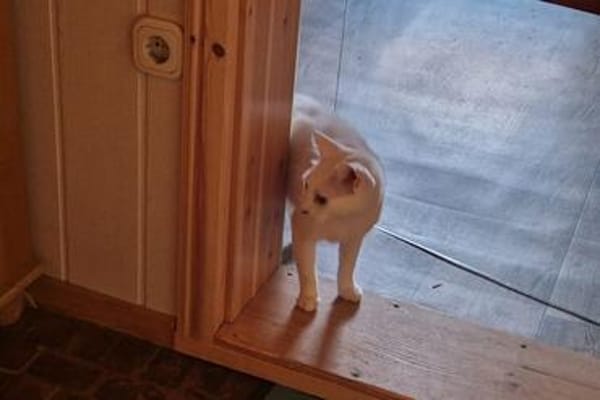 Lili...