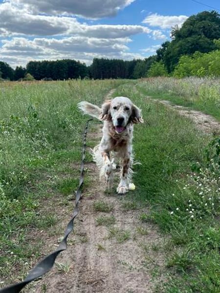 Chaplin  ein Charmeur zum Verlieben
