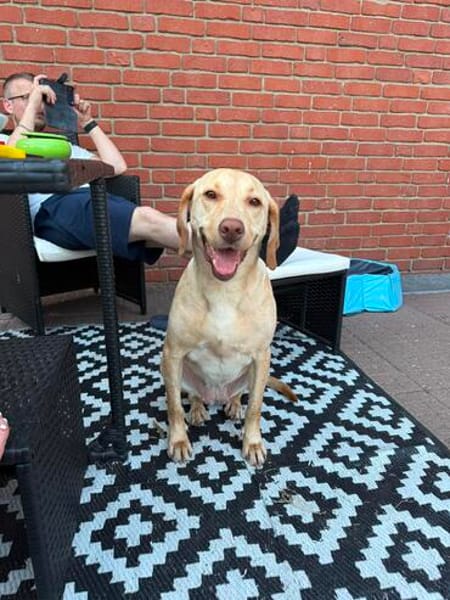 Leea ❤ Hübscher Wirbelwind!