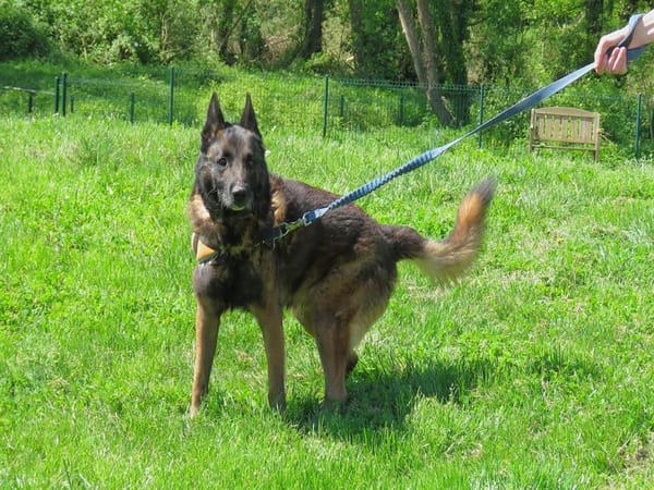 TYSON