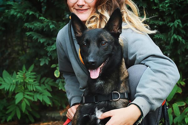 NINA VAA