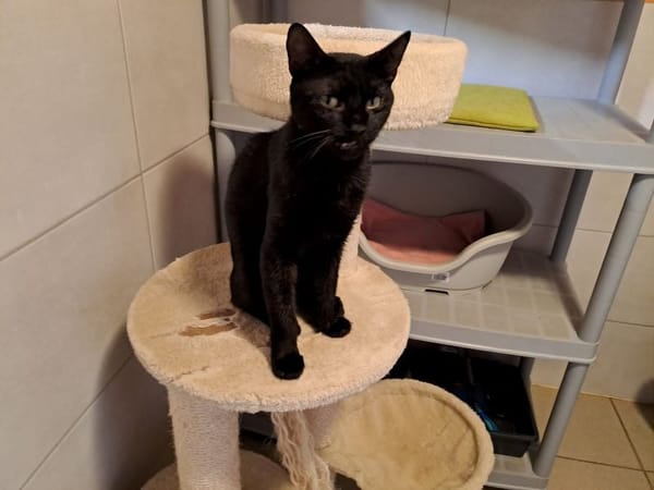 Réservé binx