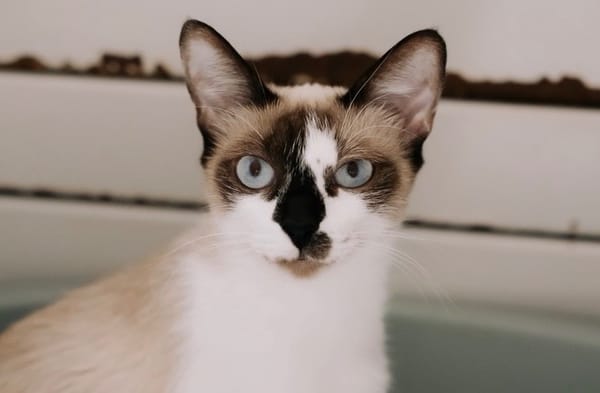 Fiona