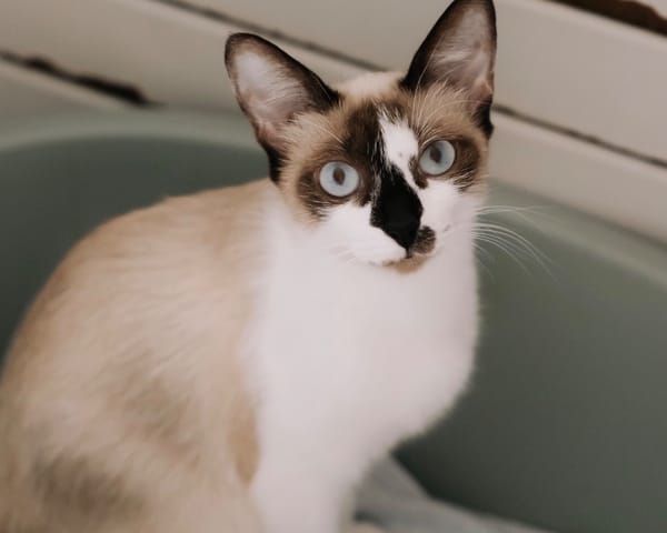 Fiona