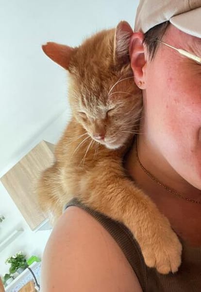Charly möchte endlich ankommen