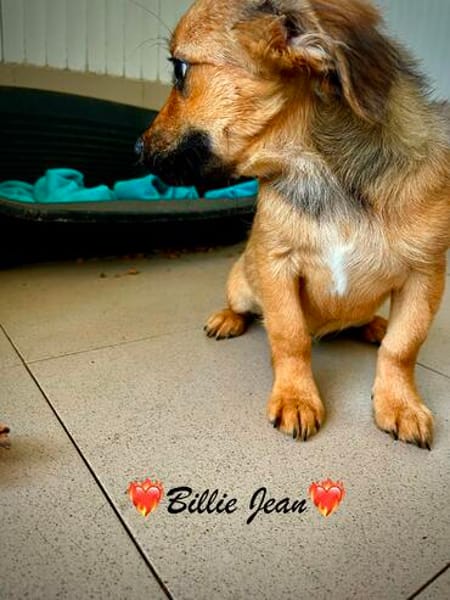 Billie Jean und das Herz macht boom-boom-boom