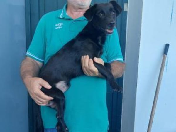 Teilweise gelähmter Nerino sucht Zuhause