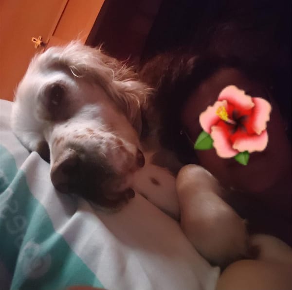 JAZZ (Martina)