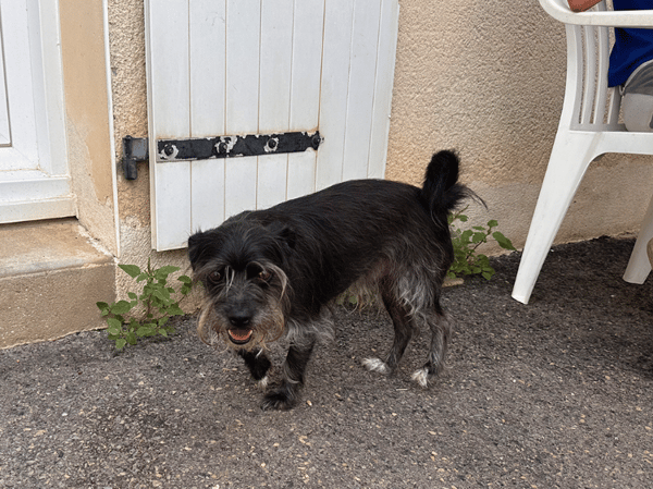 sanka (adoption duo avec Soaf)
