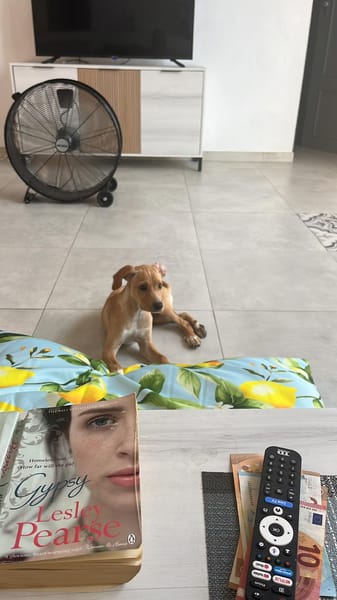 INDIE (MARTINA)