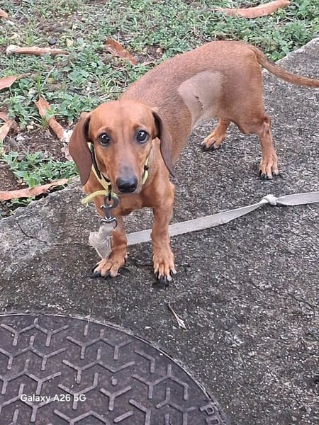 Winnie, la petite puce adorable