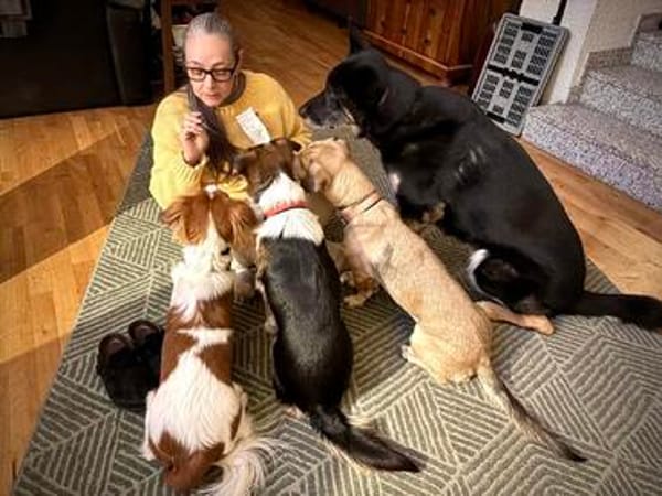 FRANKIE sucht endlich seine Familie