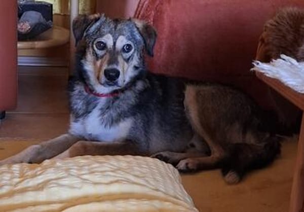 Sammy