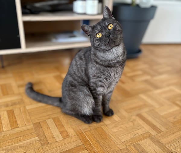 EULALIE