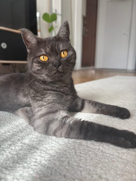 EULALIE