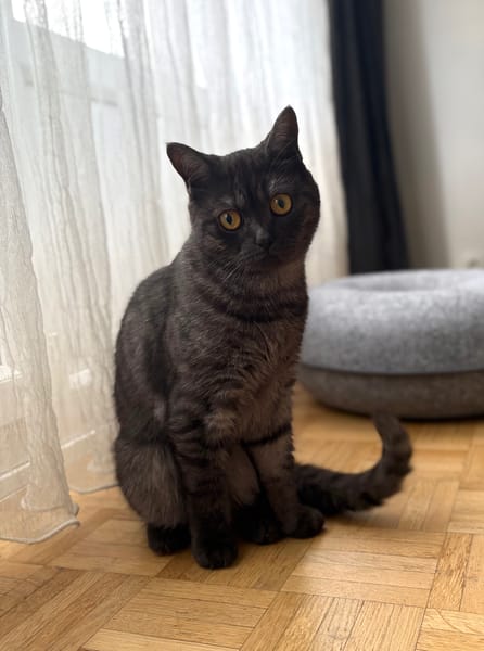 EULALIE