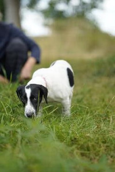 Bella - will die Welt entdecken!