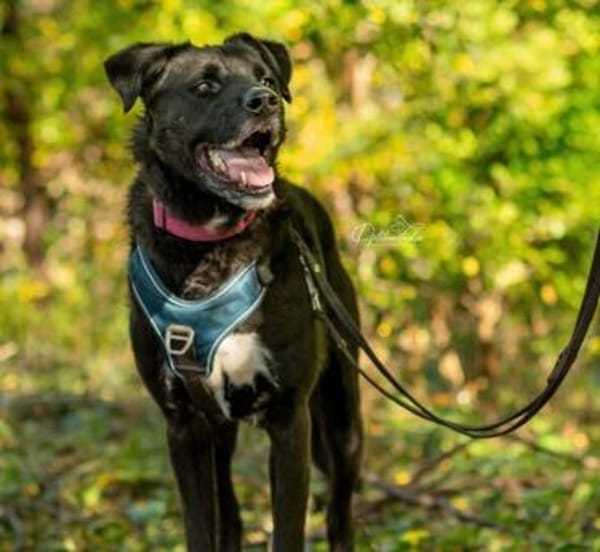 aktiver OREO sucht erfahrene Menschen