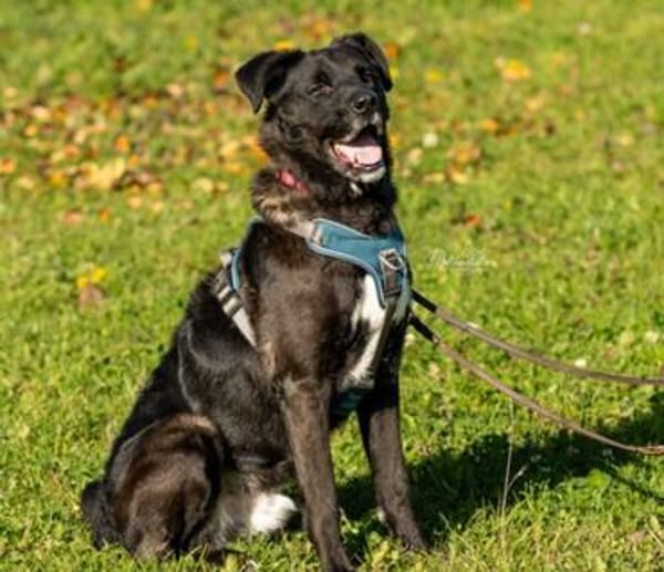 aktiver OREO sucht erfahrene Menschen