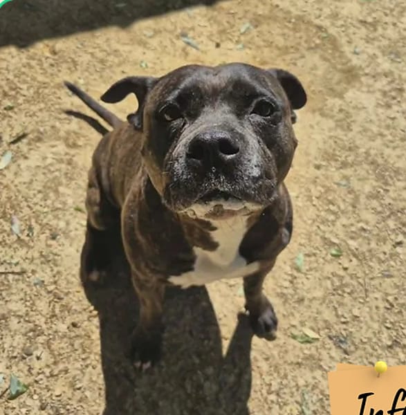 Roxie