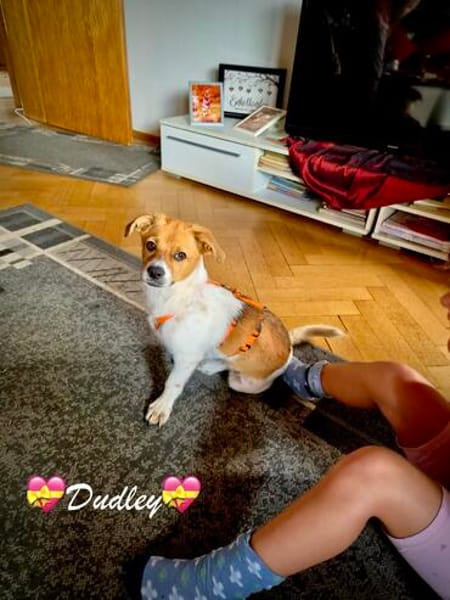 Dudley, der Küsschen-Kavalier