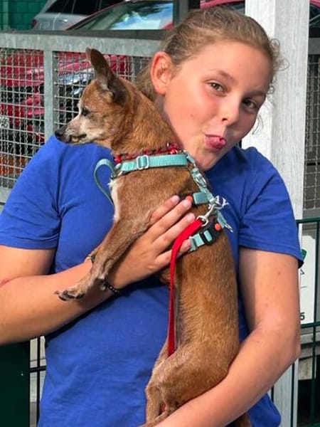 Tammi sucht eine Adoption auf dem Weg ins Glück