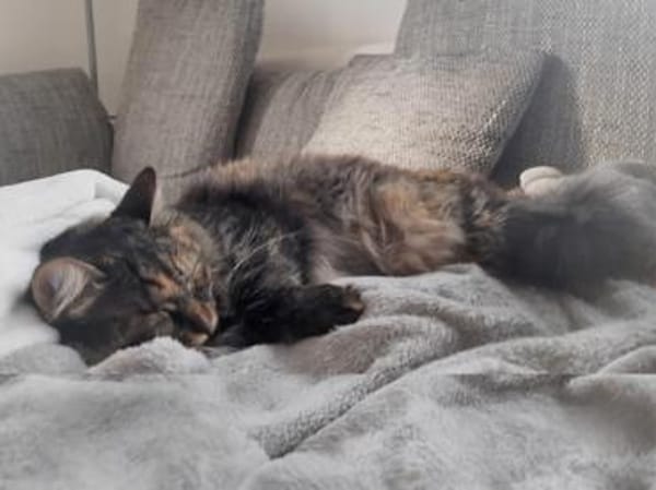 Sehbehinderte Kiraz sucht ihre Familie
