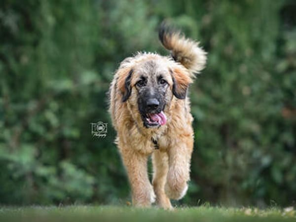 Lilù wünscht sich eigene Familie