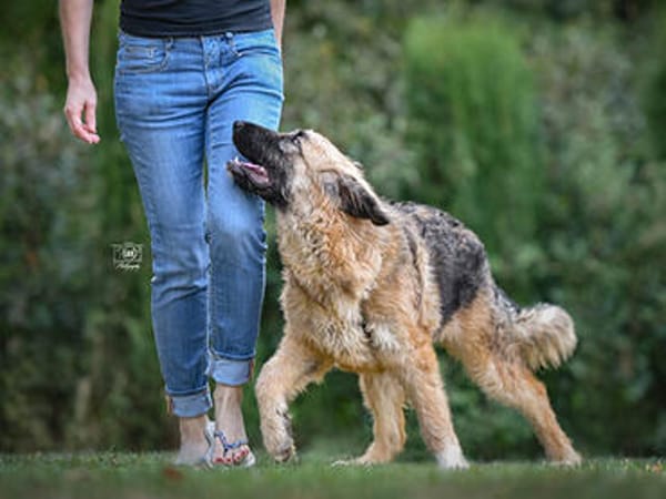 Lilù wünscht sich eigene Familie