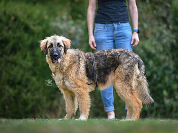 Lilù wünscht sich eigene Familie
