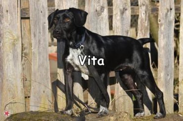 VITA