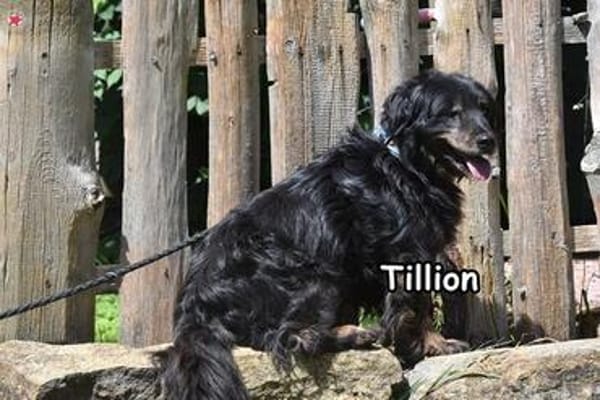 TILLION